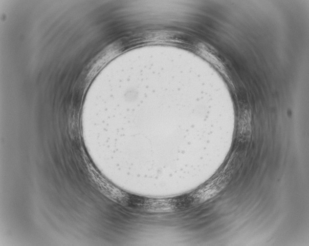 X0000057561338200510141339