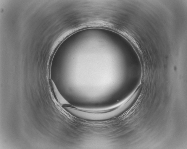 X0000057561342200510141339