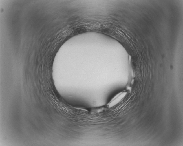 X0000057561345200510141338