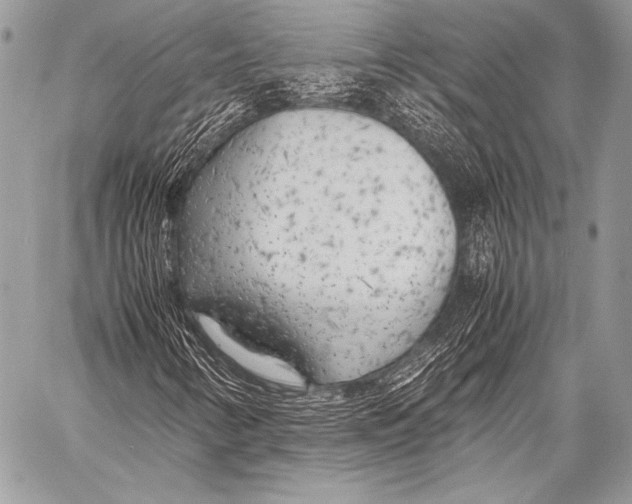 X0000057561346200510141338