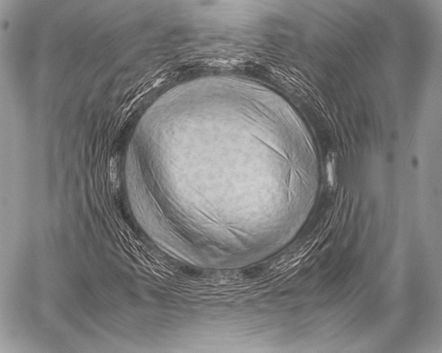 X0000057561347200510141338