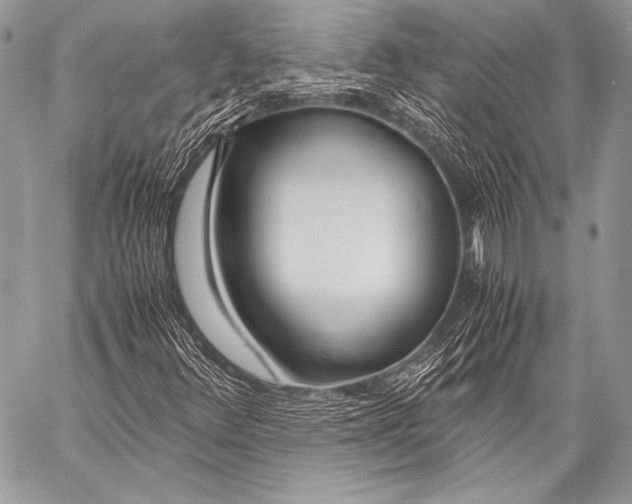 X0000057561348200510141338