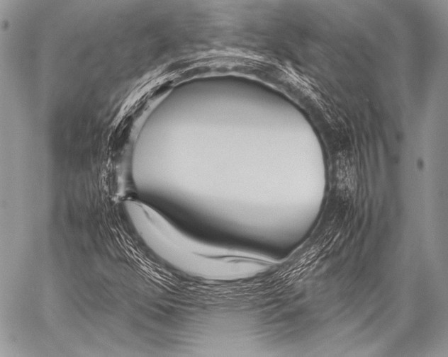 X0000057561352200510141338