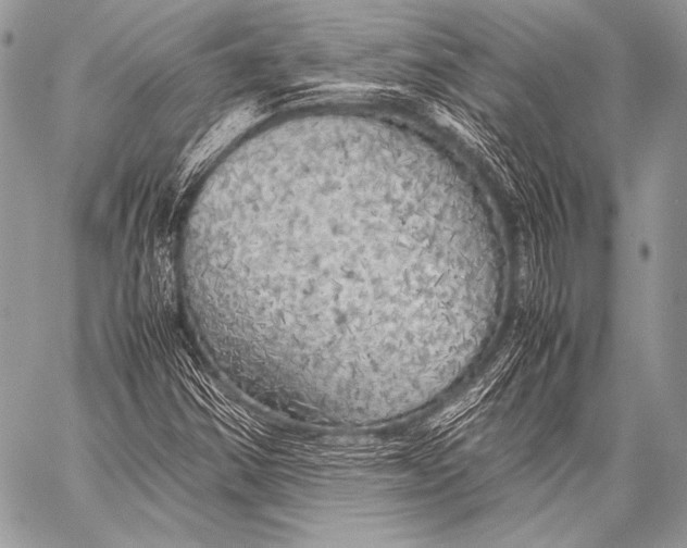 X0000057561354200510141338