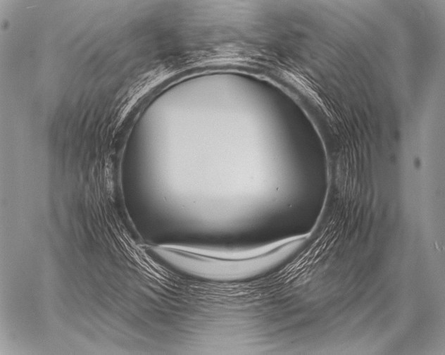 X0000057561356200510141338