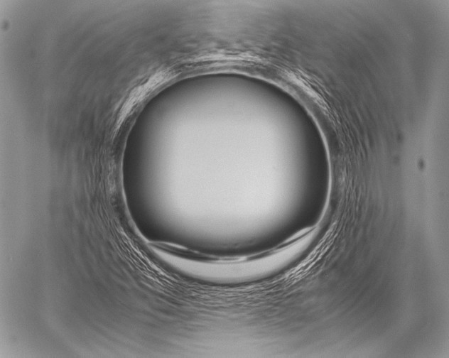 X0000057561357200510141338