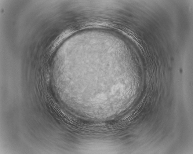 X0000057561363200510141338