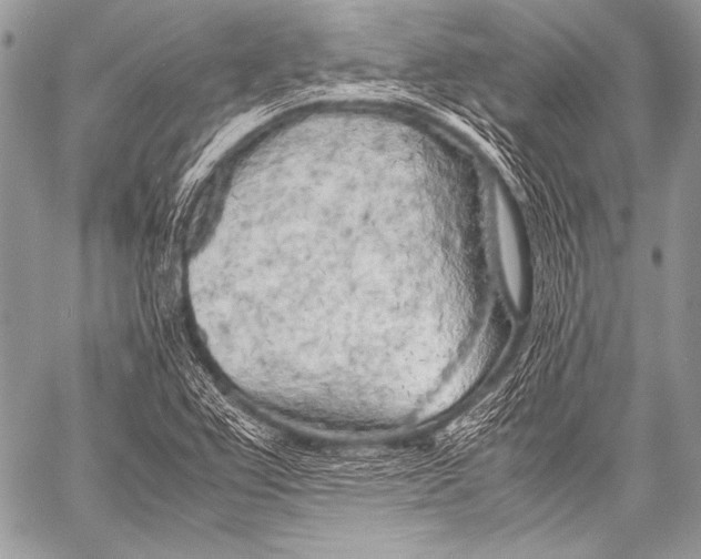X0000057561367200510141338