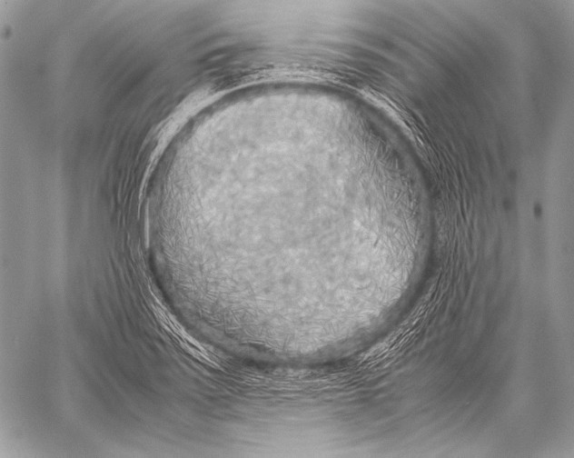 X0000057561371200510141338