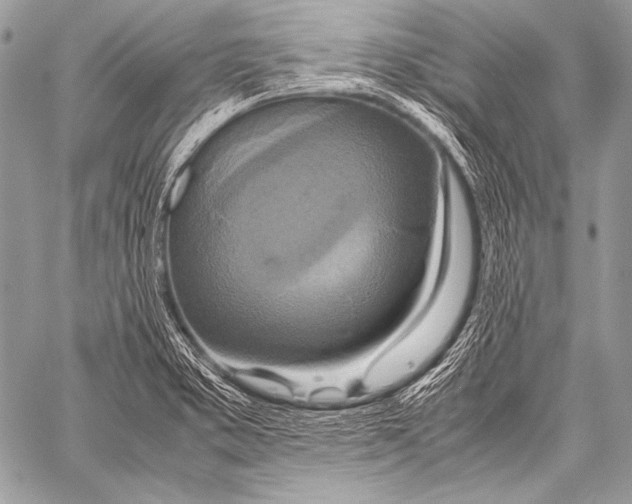 X0000057561373200510141338