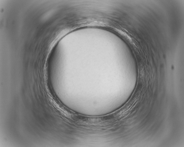 X0000057561375200510141338