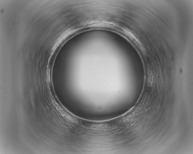 X0000057561376200510141338