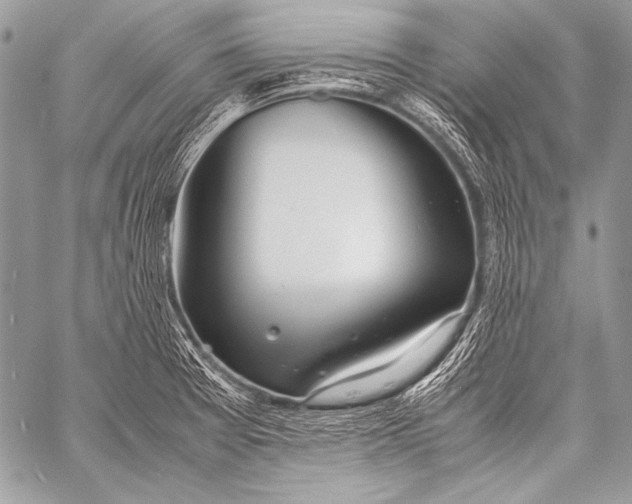 X0000057561377200510141338
