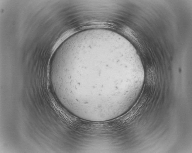 X0000057561378200510141338