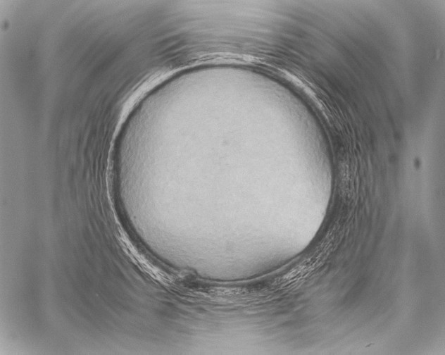 X0000057561379200510141338