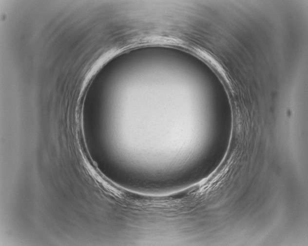 X0000057561381200510141338