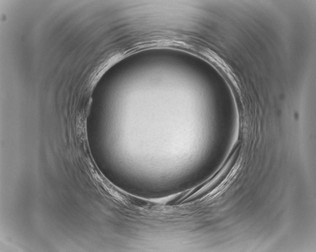 X0000057561385200510141337