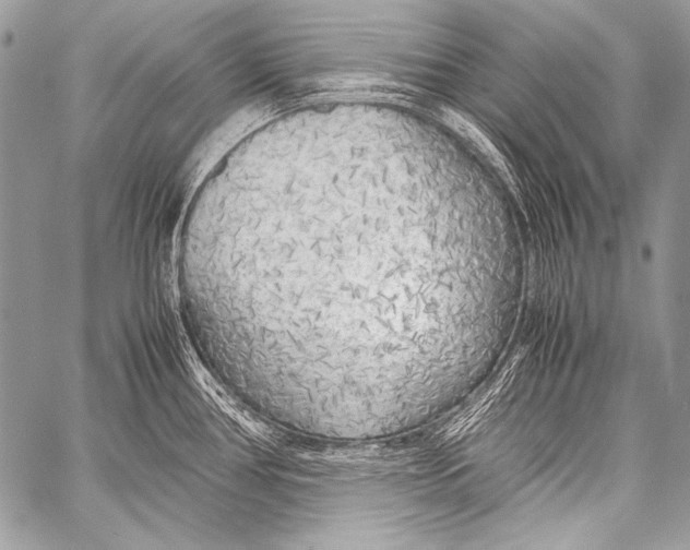 X0000057561386200510141337
