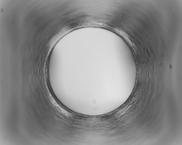 X0000057561387200510141337