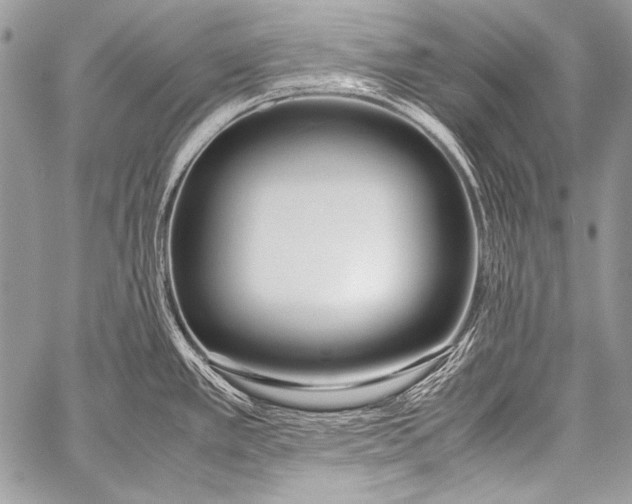 X0000057561389200510141337