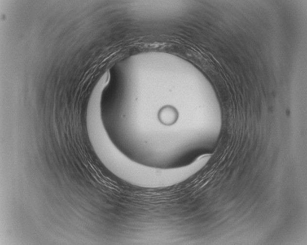 X0000057561394200510141337