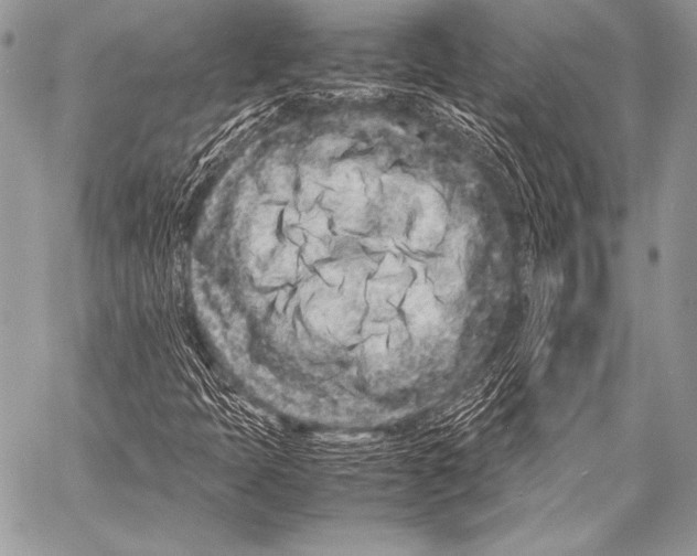 X0000057561397200510141337