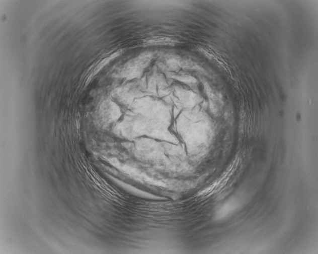 X0000057561401200510141337
