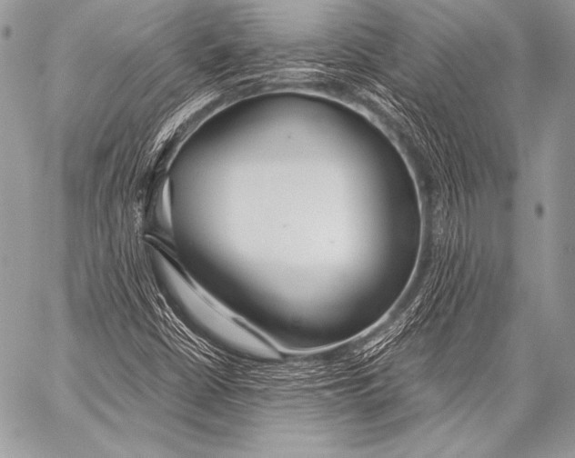 X0000057561402200510141337