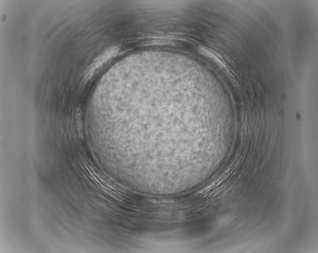 X0000057561403200510141337