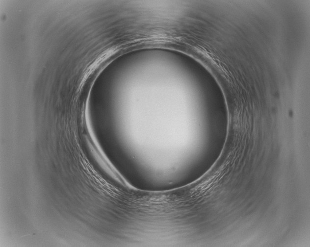X0000057561410200510141337