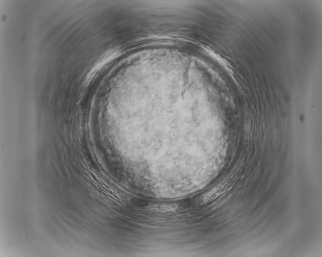 X0000057561411200510141337