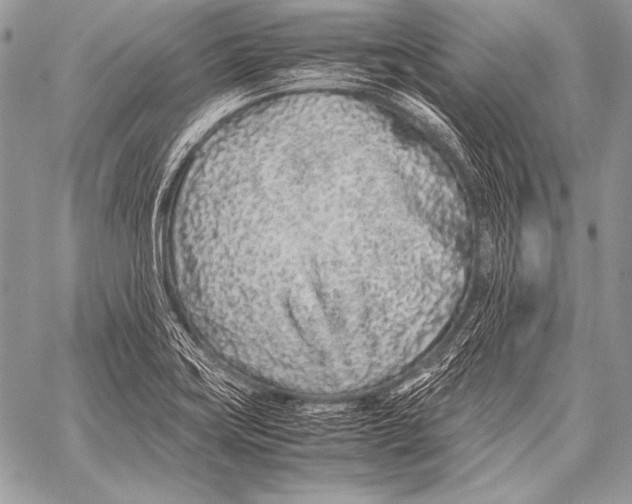 X0000057561419200510141337