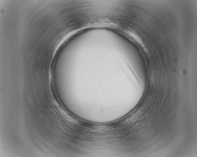 X0000057561420200510141337