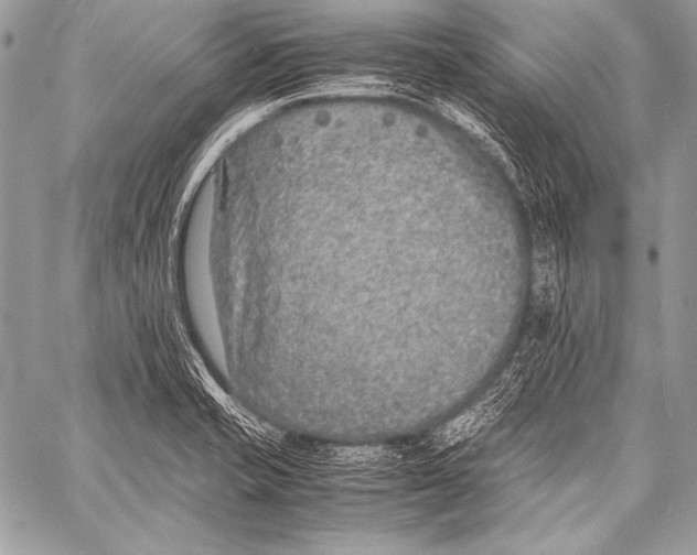 X0000057561421200510141337