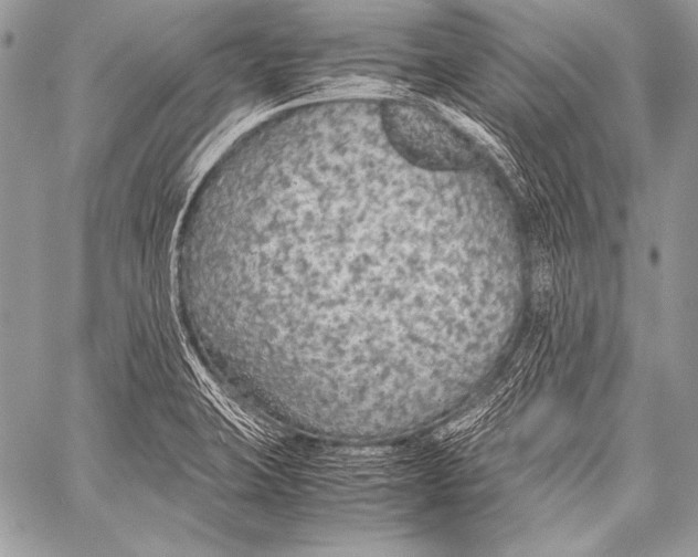 X0000057561423200510141337