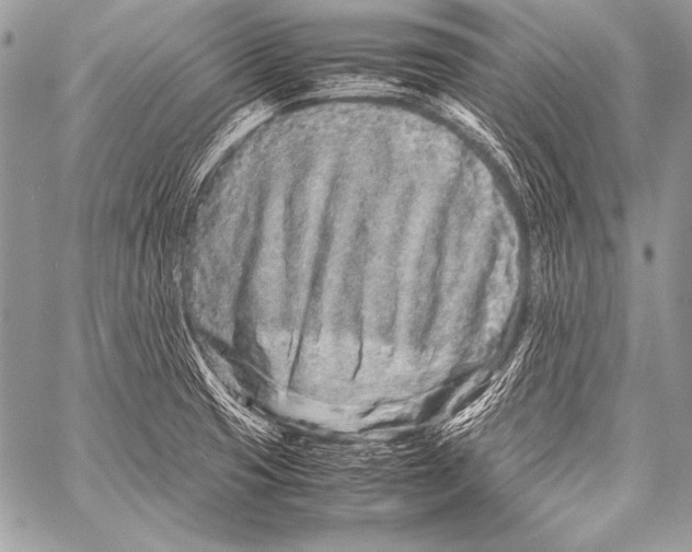 X0000057561425200510141337