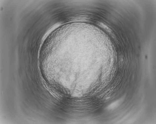 X0000057561427200510141337