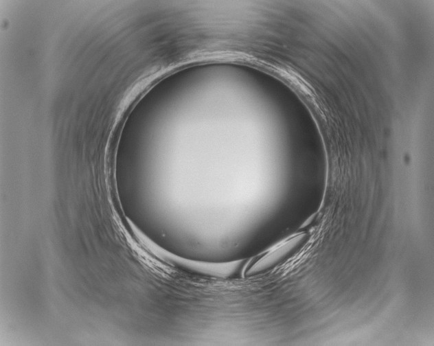 X0000057561430200510141337