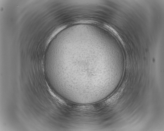 X0000057561433200510141337
