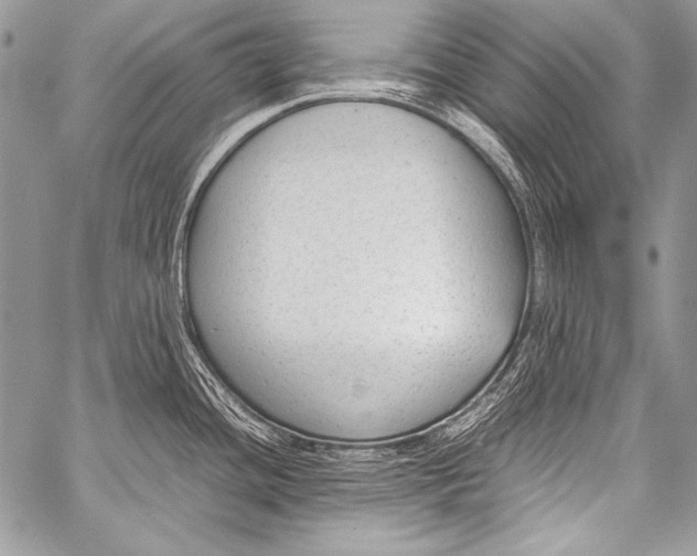 X0000057561436200510141337