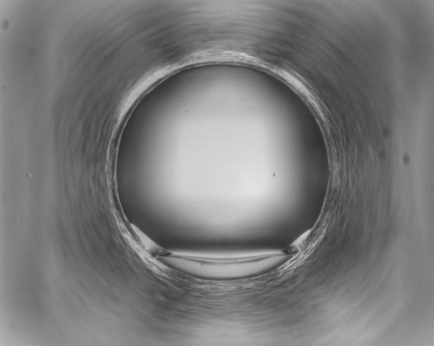 X0000057561438200510141337