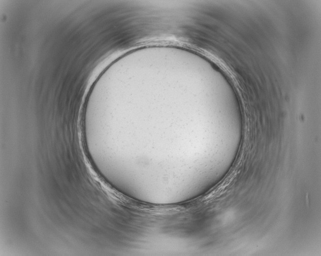 X0000057561440200510141337