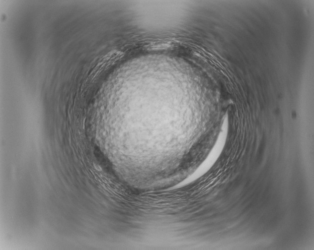 X0000057561441200510141337