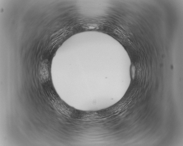 X0000057561442200510141337