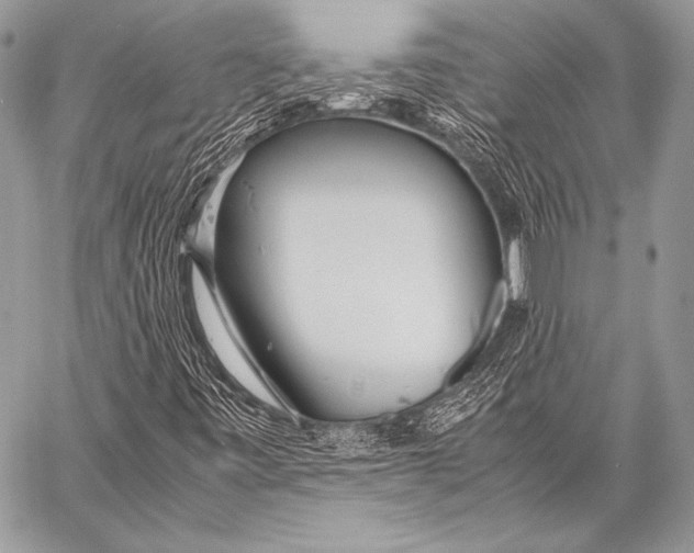 X0000057561443200510141337