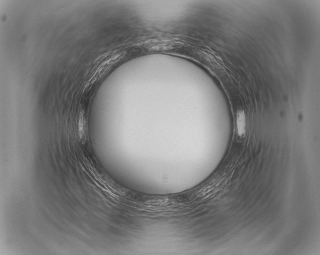 X0000057561444200510141337
