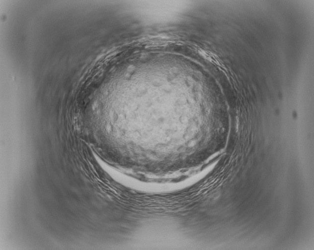 X0000057561445200510141336