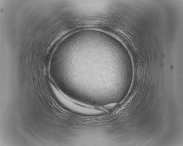 X0000057561449200510141336