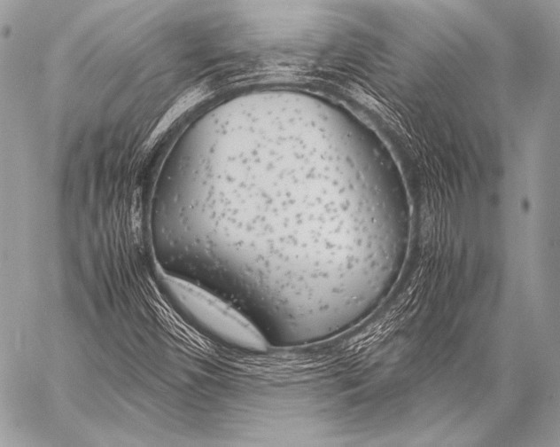 X0000057561450200510141336