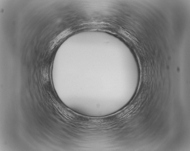 X0000057561451200510141336